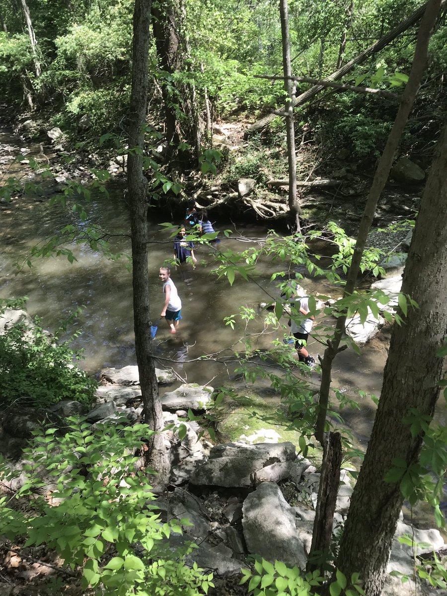 On Thursday afternoon we sweated it out to improve our school’s watershed and we learned about how healthy or unhealthy our creek is. #citizenscientist @GrantAllStars @grant_media @BarbaraBuffaloe @CoMoGov @Szydlowskim @MsKleinsorge @EcologySchoolME @Scienceguy65203