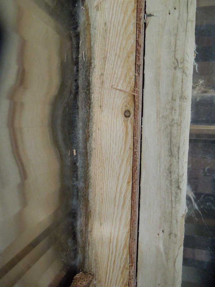 ForestRiverRV's tweet photo. @ClarkeAHock My family and I did love full time in our travel trailer. It was wonderful and I highly recommend it to everyone. Just be careful what you choose to full time in. Here's a picture of the mold that was in my brand new Forest River RV. They offered $0 to help with this repair. https://t.co/TqodAWhx9b