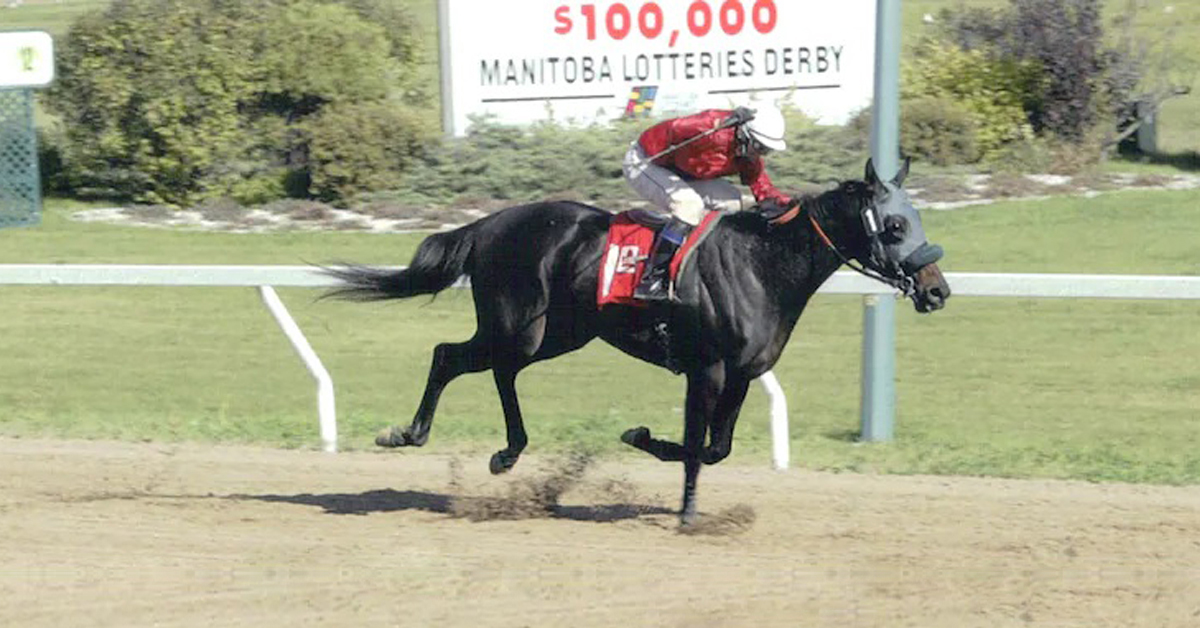 CanadianTbred's tweet photo. Canadian Blood Runs Deep in Kentucky Derby Winner:
An inspection of 80-1 longshot winner Rich Strike's pedigree shows plenty of Canadian influence, top and bottom. #horseracing #Canadianbreds #KentuckyDerby #RichStrike #GoldStrike
https://t.co/McICdgz2lk https://t.co/Oy22uzaY2n