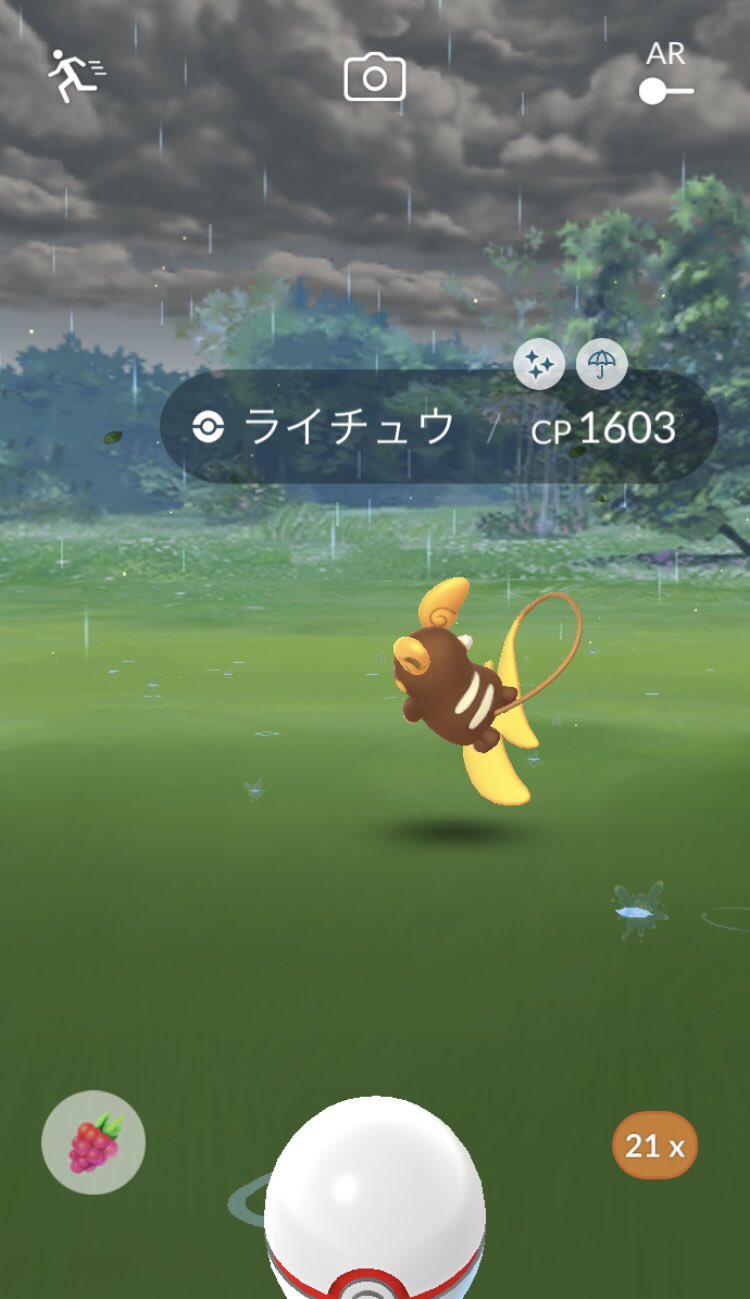 ぴよマール 0ac 今日のレイドのライチュウ結果１４ １４ ３で 最高個体値は個体値９８が嫁さんの合わせて２体 出て色違い アローラライチュウは１体出てきた５ ポケモンｇｏ アローラライチュウ 土曜 ライチュウ 色違い どようび 土曜日