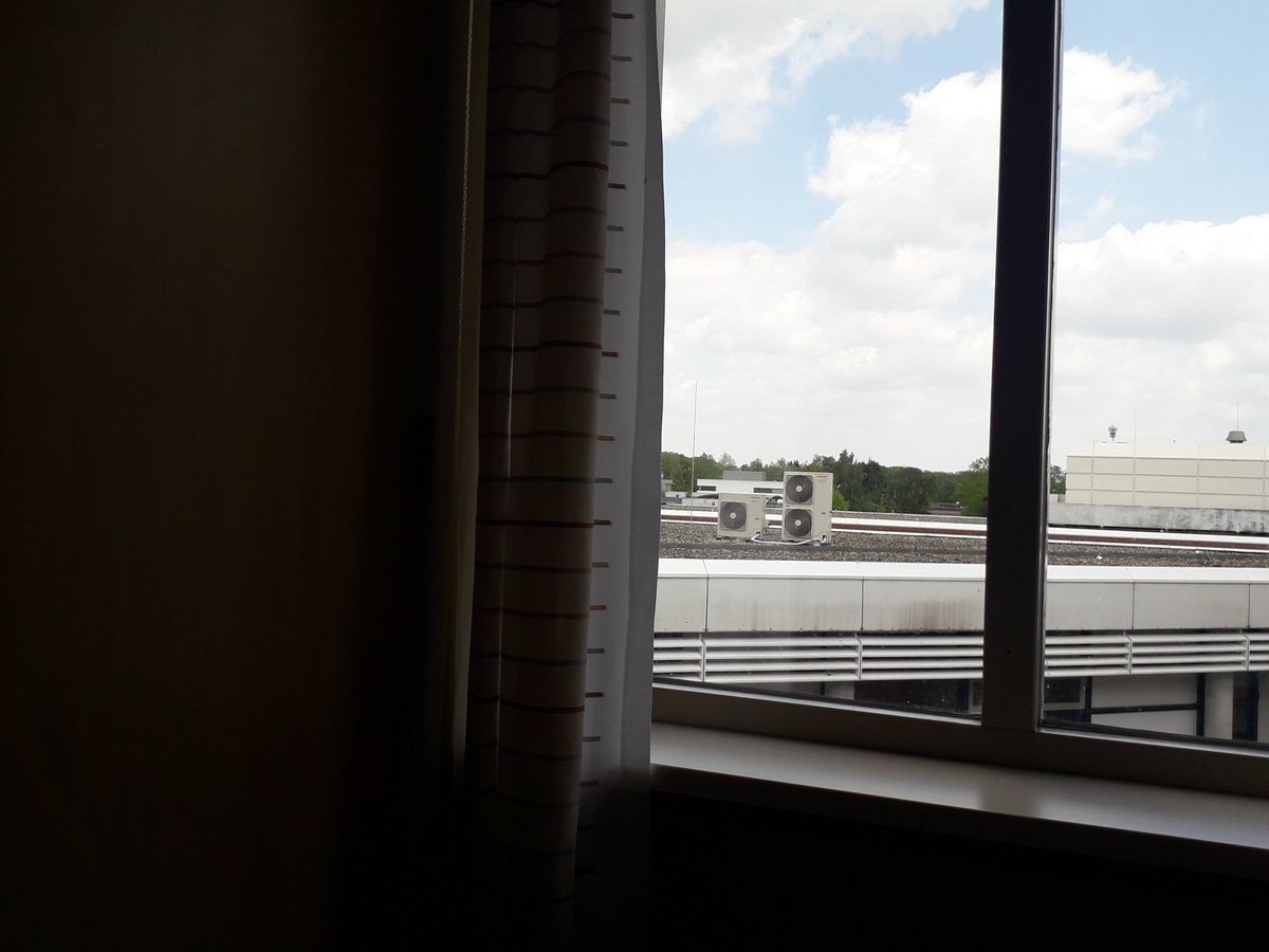 Speciale plek uitgezocht om scholeksters te bestuderen.