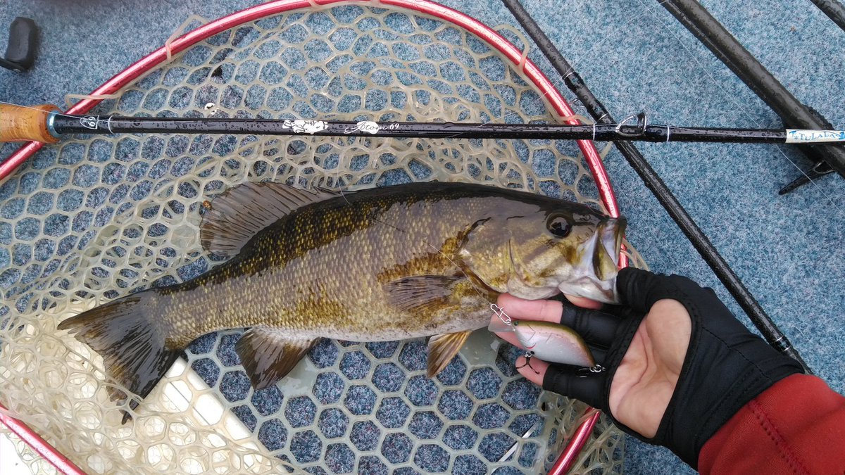 六度九分 (@rokudokubu) / Posts / X