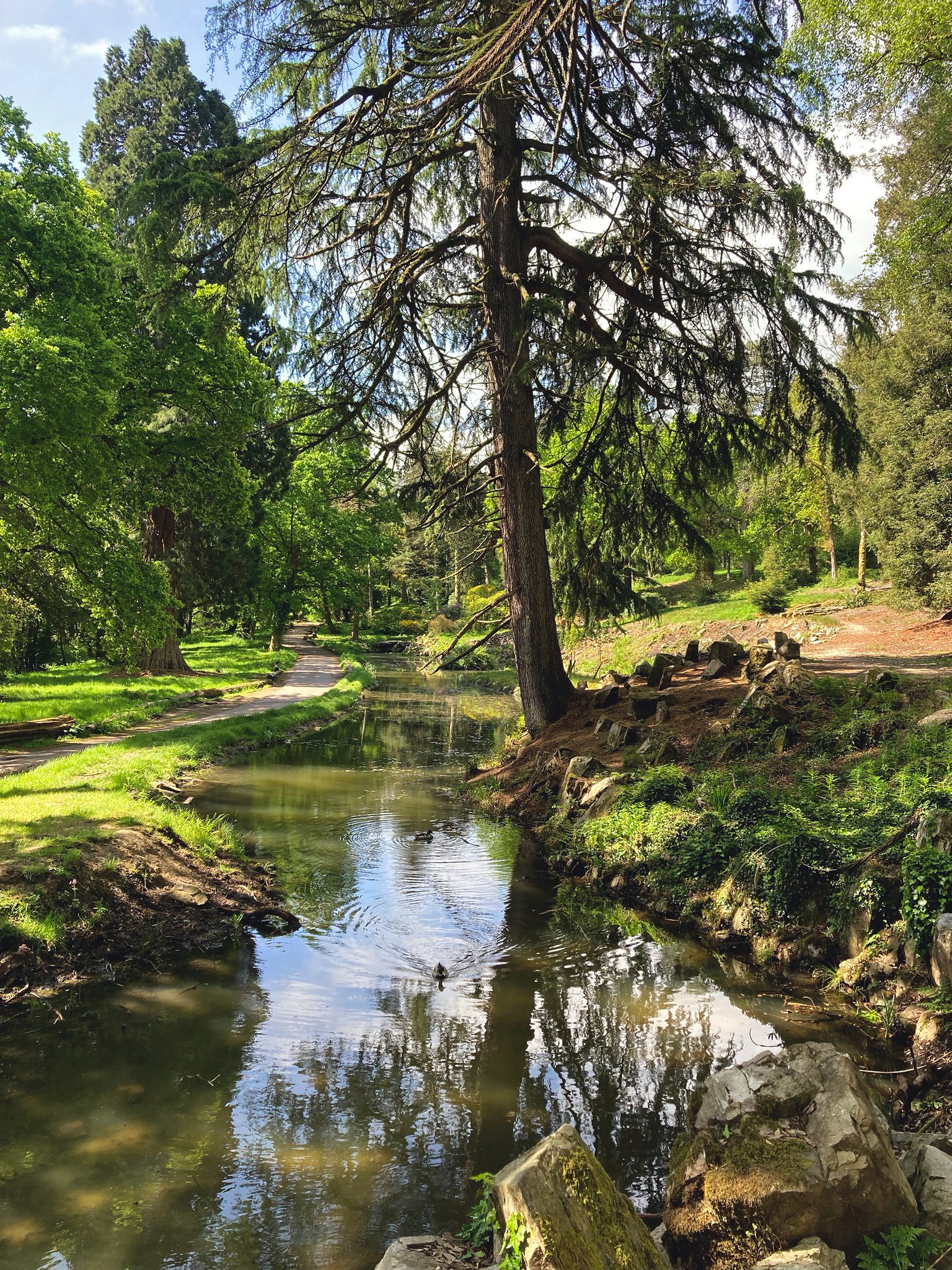 Tom Maloney on Twitter "'Four Faces of The American Gardens
