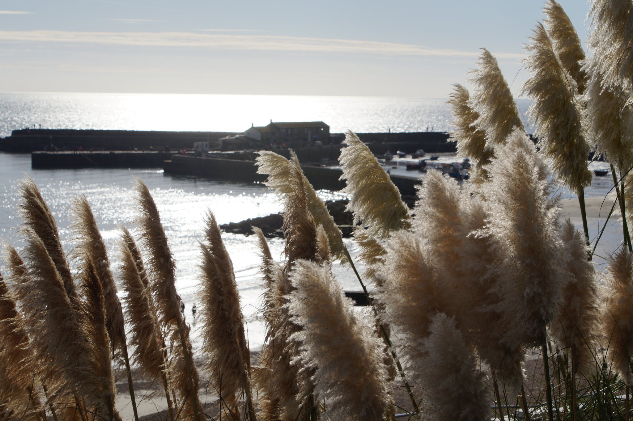 Parris on Twitter: "https://t.co/NwvbE7skxH" / Twitter