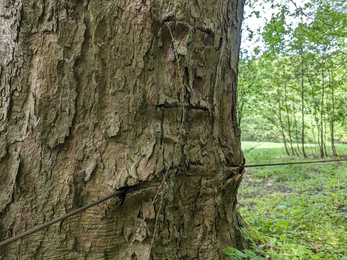 Jammer das nächste mal nicht über einen eingewachsen Nagel...