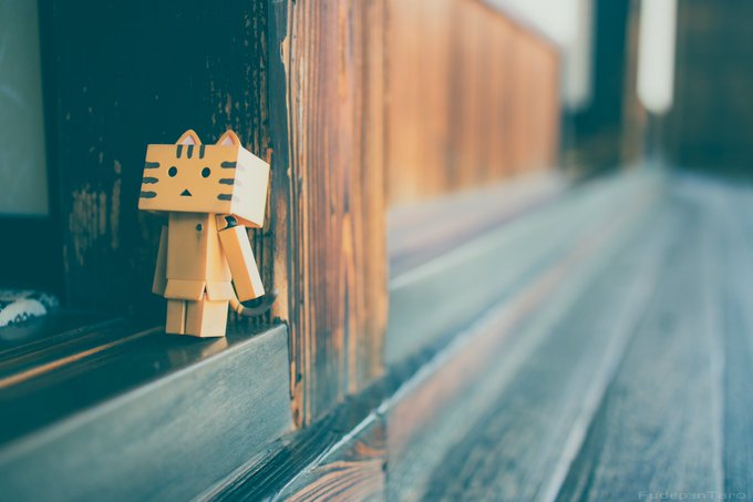 サイクロン卿 S Recent Tweets 24 Whotwi Graphical Twitter Analysis