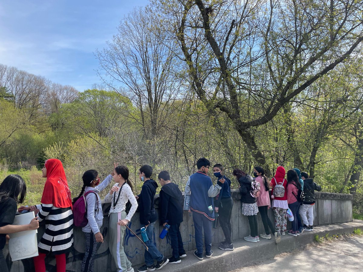 ph_butler's tweet photo. Ss enjoyed exploring local green spaces, how to tell the height + age of conifers &amp; id'ing birds + turtles. Les élèves ont aimé explorer les espaces verts locaux, déterminer la hauteur+l'âge des conifères &amp; identifier des oiseaux+tortues.@TDSB_Grenoble @EcoSchoolsTDSB @TDSB_fsl https://t.co/umRt79JvXh
