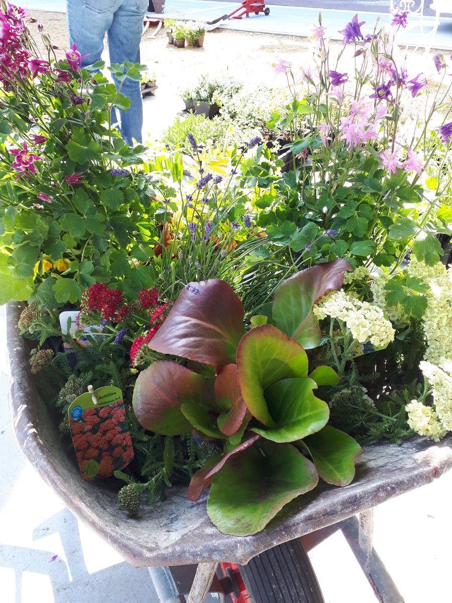 Gezellige drukte en enthousiaste bewoners lekker aan de slag met het vergroenen!