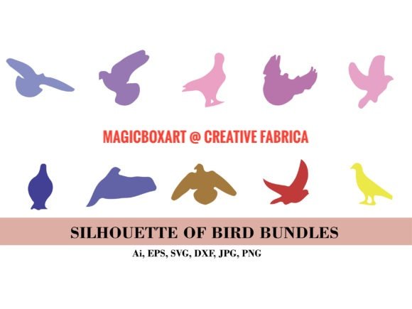 MagicBoxArt's tweet image. Silhouette of Bird Bundles
At #creativefabrica 
.
Link:
creativefabrica.com/product/silhou…
.
#vector #birds #graphicdesign #microstock #magocboxart #icon #design #silhouette