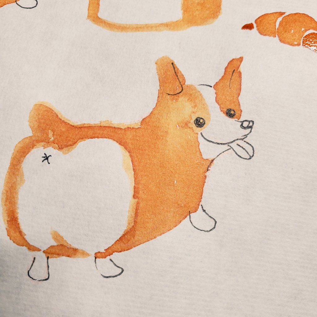ke_co_ltd's tweet photo. コーギー食パン🍞
それとも
食パンコーギー🐕️?

このインクは
パンを描くのに向いてる!!!

#アナログイラスト
#とのりむ
#QUICKBROWNFOX https://t.co/7zAf07fapF