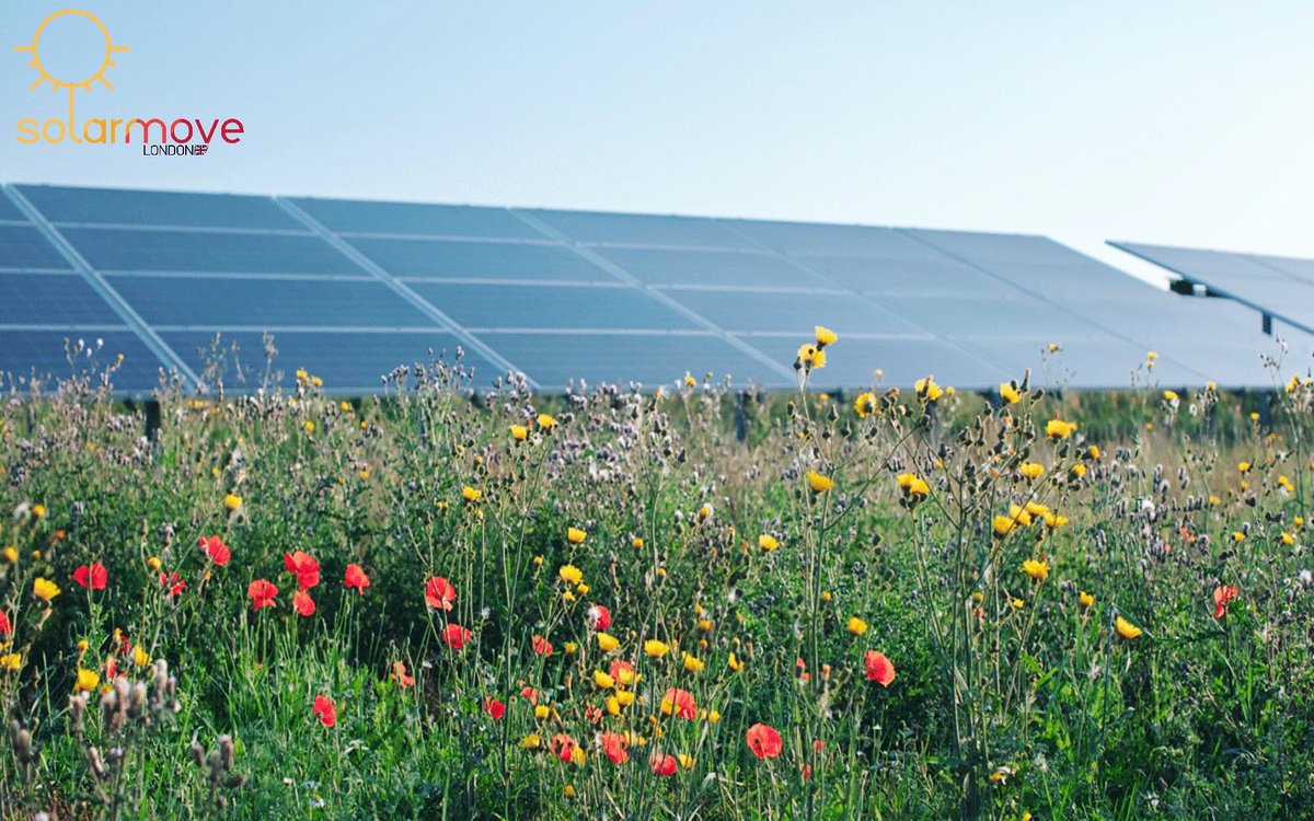 solarmove's tweet photo. #SolamoveLtd is engaged in the construction of solar power plants, from project development &amp; feasibility studies to installation, optimization &amp; maintenance. We are into the #Greek #solar market working with individual businesses delivering great solar power solutions. https://t.co/nwYzeoTDWt
