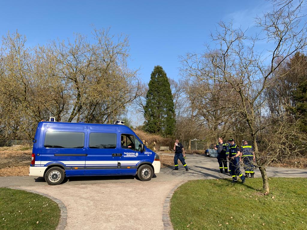 BotGartenHH's tweet photo. Herzlichen Dank! 
Die neue Brücke im Taxodiental wurde von der Fachgruppe Brückenbau des Technischen Hilfswerkes (THW) gebaut und von der Gesellschaft der Freunde des Botanischen Gartens finanziert.  
#taxodiental #thw #brückenbau #lokischmidtgarten 
Fotos: BGHH/ Krischok https://t.co/nLevfxWcp3