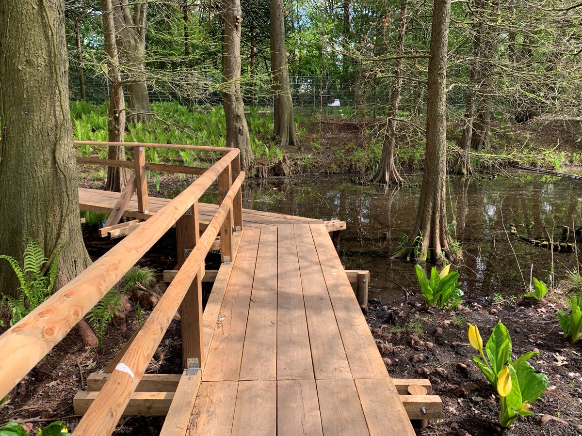 BotGartenHH's tweet photo. Herzlichen Dank! 
Die neue Brücke im Taxodiental wurde von der Fachgruppe Brückenbau des Technischen Hilfswerkes (THW) gebaut und von der Gesellschaft der Freunde des Botanischen Gartens finanziert.  
#taxodiental #thw #brückenbau #lokischmidtgarten 
Fotos: BGHH/ Krischok https://t.co/nLevfxWcp3