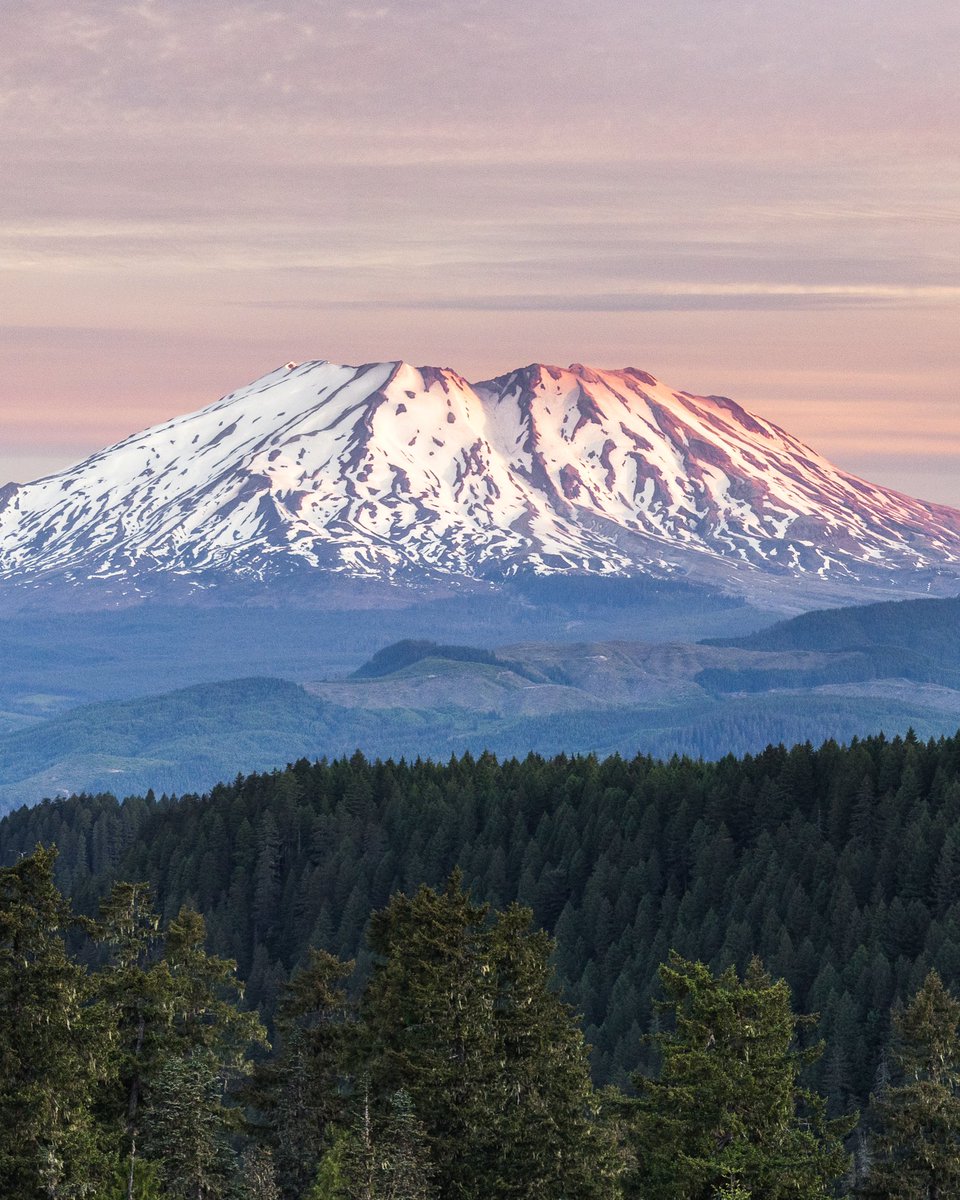 Michael Matti tweet media