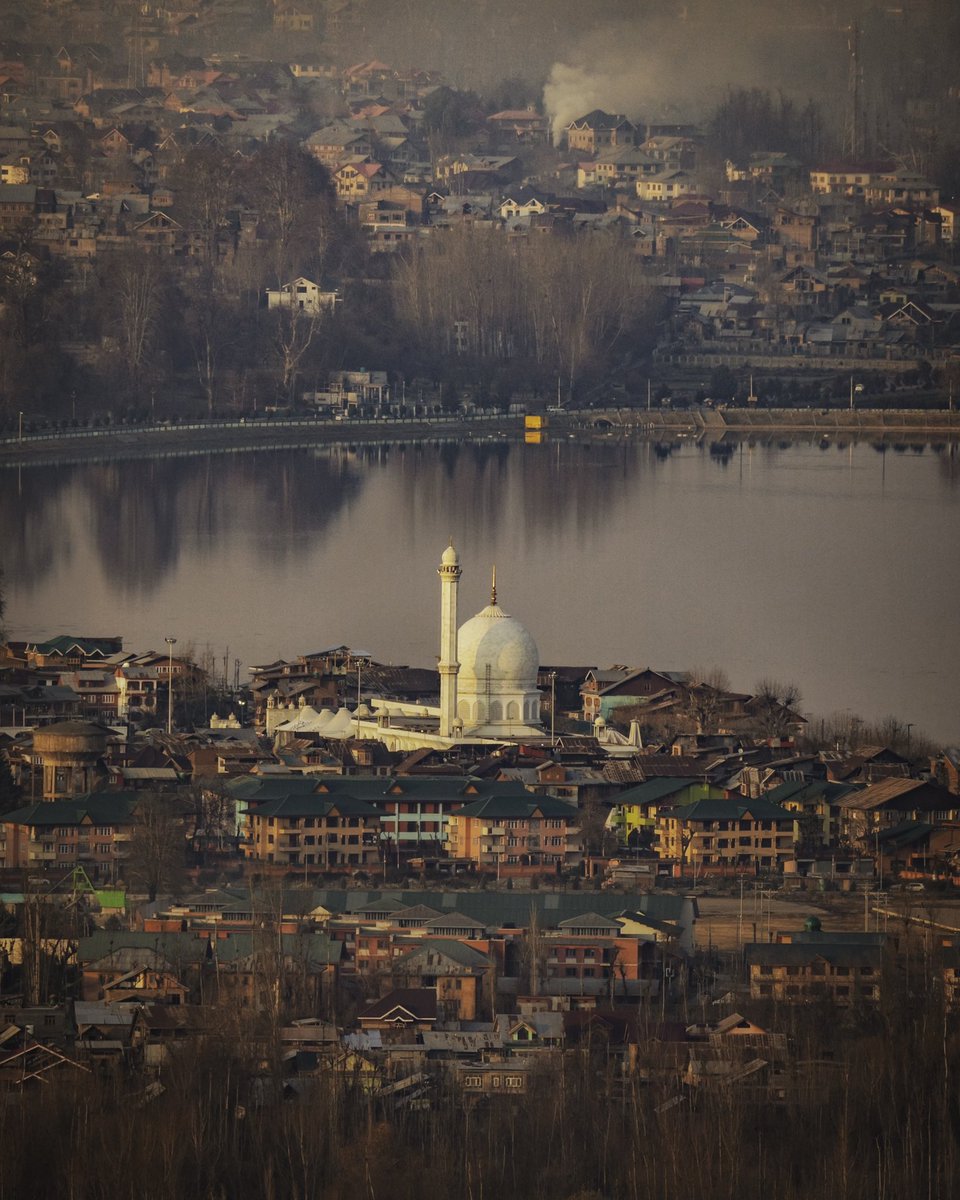 GM friends 🌻
#NFTCommumity #NFTartist #NFTphotographers #nftart