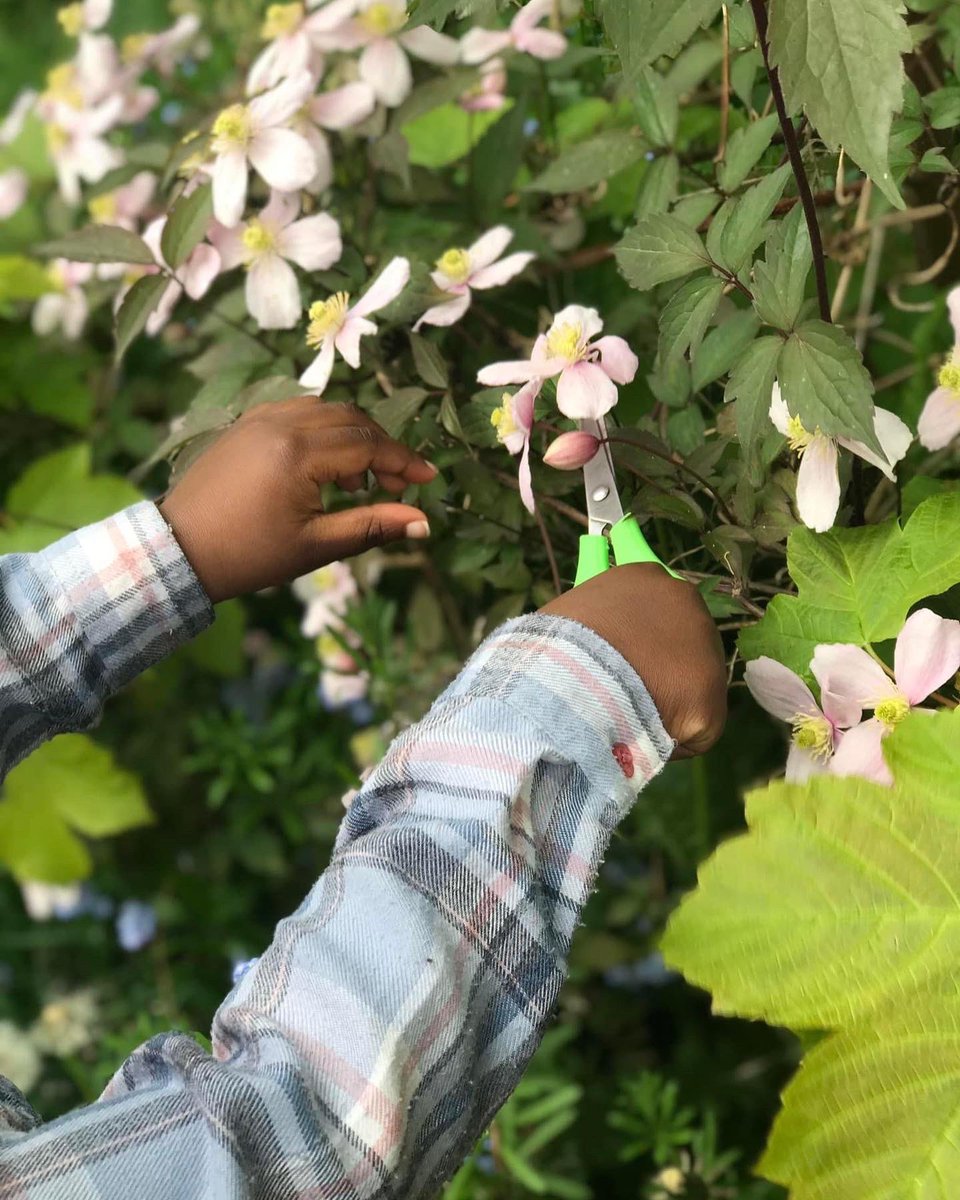 futureeinstein3's tweet photo. 🌸Nature cutting 🌸

A child told us how good her cutting skills were so this inspired all the toddlers to practice with scissors ✂️
#cuttingskills #eyfs #outdoorlearning https://t.co/P07hzxqLEC