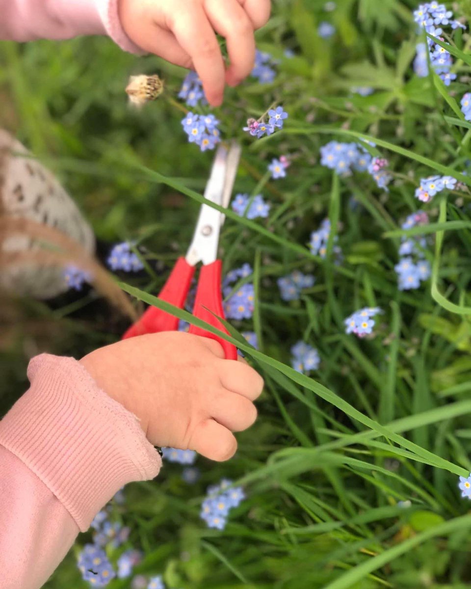 futureeinstein3's tweet photo. 🌸Nature cutting 🌸

A child told us how good her cutting skills were so this inspired all the toddlers to practice with scissors ✂️
#cuttingskills #eyfs #outdoorlearning https://t.co/P07hzxqLEC