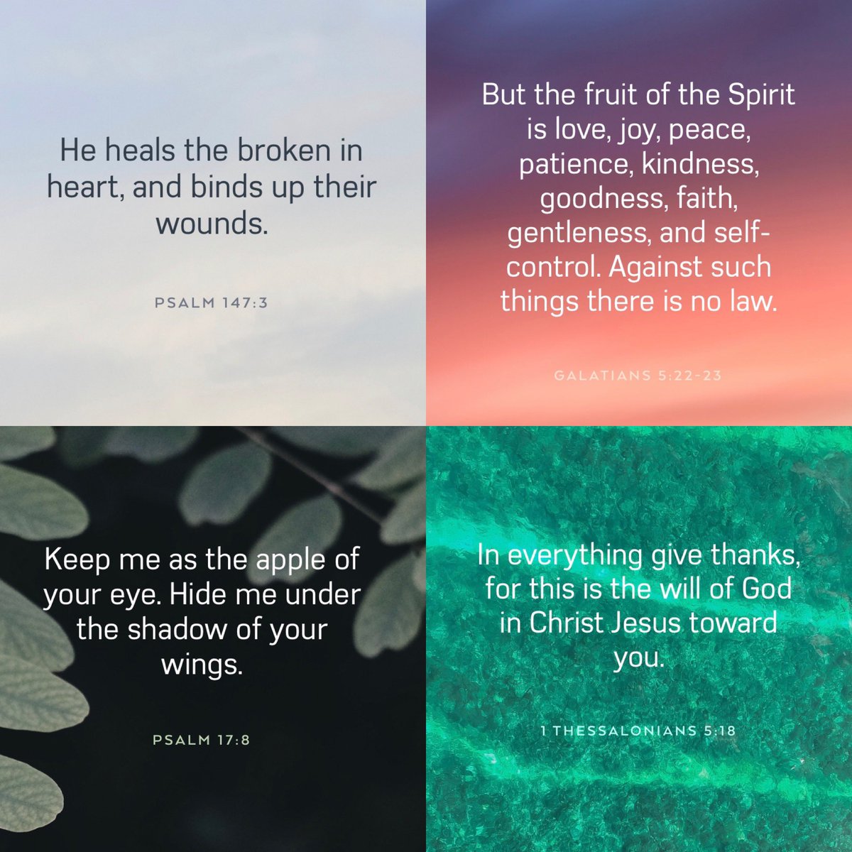 swiftkik's tweet photo. #SoberSaturday
#OneDayAtATime #SoberLife
#higherpower #GodIsmyHigherPower 
#WithGodAllThingsArePossible 
“He heals the broken in heart, and binds up their wounds.”
Psalms 147:3
#Bible 
#biblephrases 
#inspirationalquotes https://t.co/XNNs4uxBYT