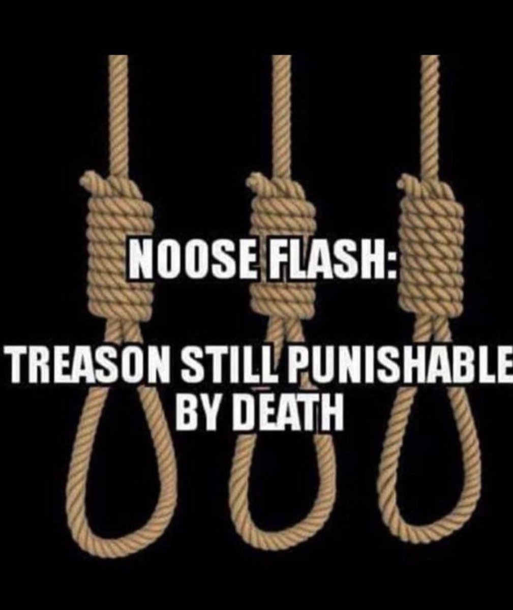 #Traitors going to hang #Treason doesn’t end well deep state!!!
