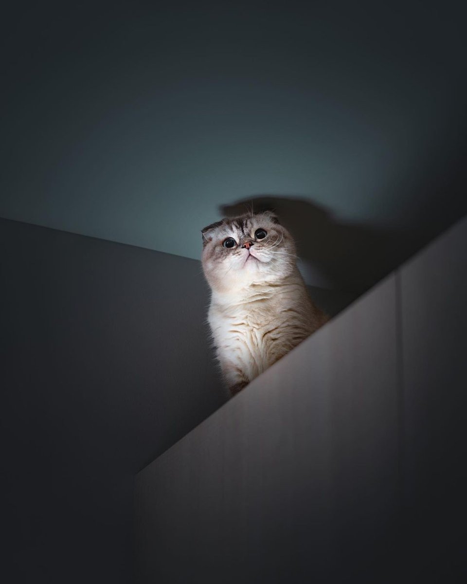 Image of this social media content