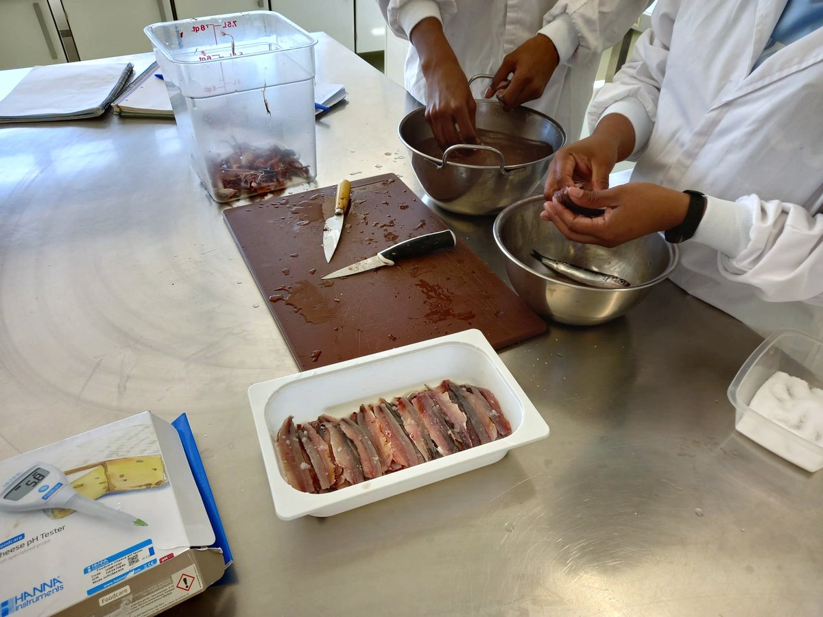 InsAlimentsBCN's tweet photo. Seitons! 🐟L'alumnat de 1r d'Elaboració de ProductesAlimentaris ha après a elaborar aquesta semiconserva de peix: seitó en vinagre, envasat en atmòsfera protectora.🥫

#Aprenem #AprenemFent #FormacióProfessional #CiclesFormatius #Alimentació #Peix #Peixaters #Cuiners #AraÉsLaMeva https://t.co/DqE0t9jFfF