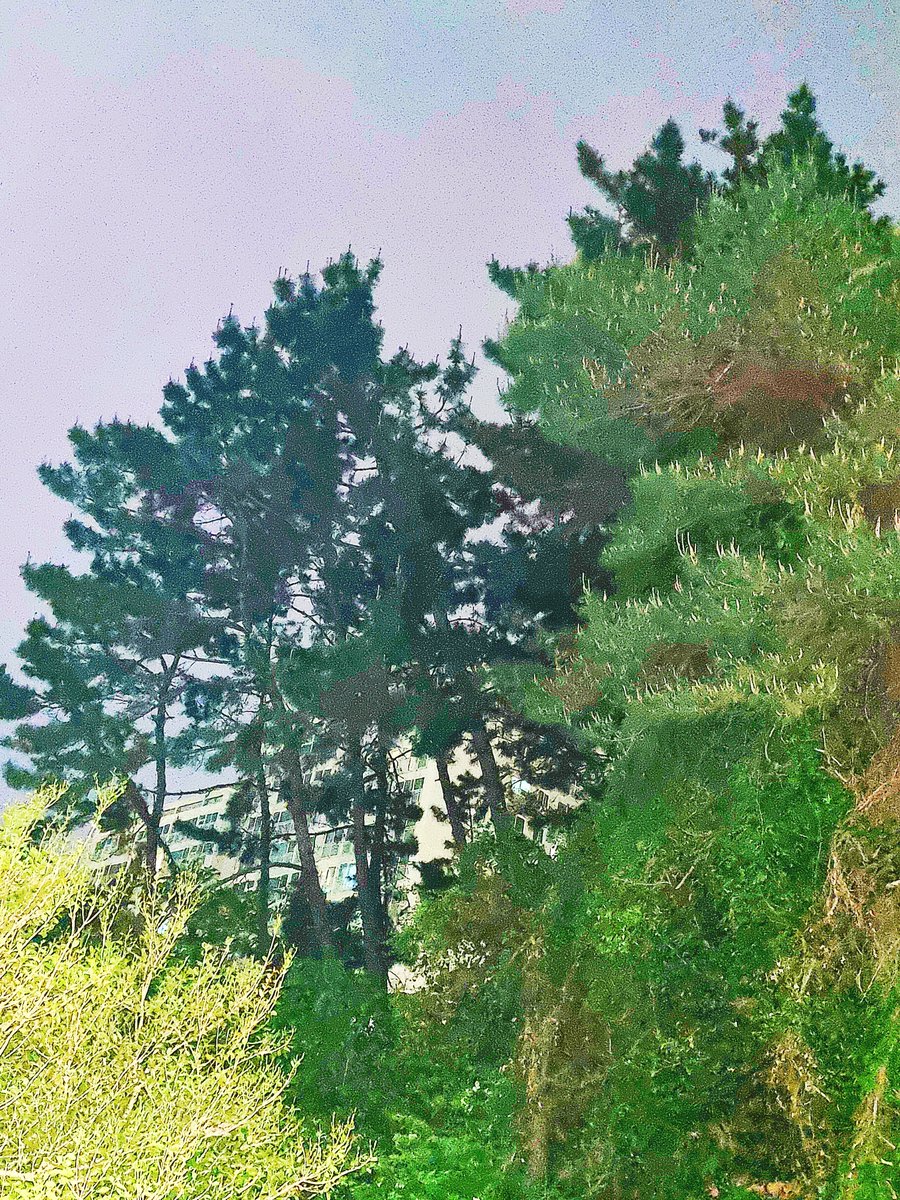 JinSeop Kim(辰燮 金) (@kimjinnam4) on Twitter photo 