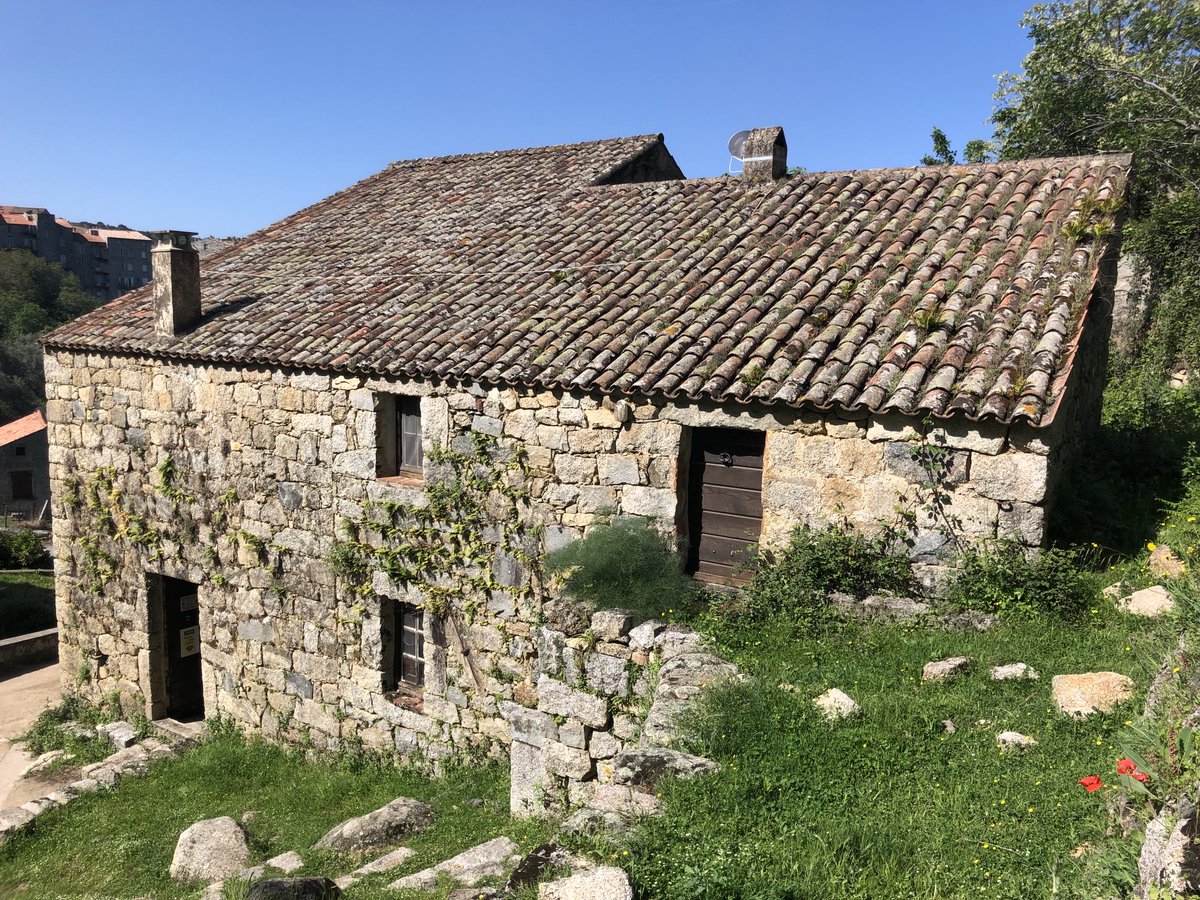 PJCampocasso's tweet photo. U mulinu di Santa-Lucia di Tallà, la conservation des mécanismes hydrauliques et électriques en font un patrimoine exceptionnel pour raconter la riche histoire de la production corse d’huile d’olive #AltaRocca https://t.co/MhImsrTHll