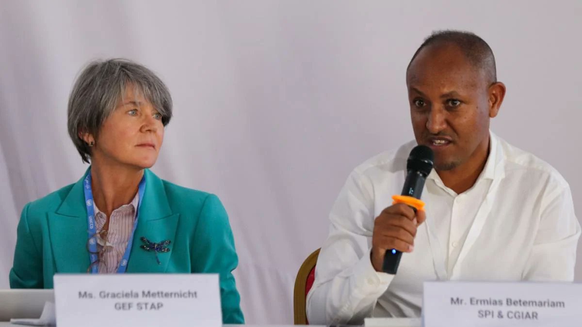 UN Land and Drought tweet media