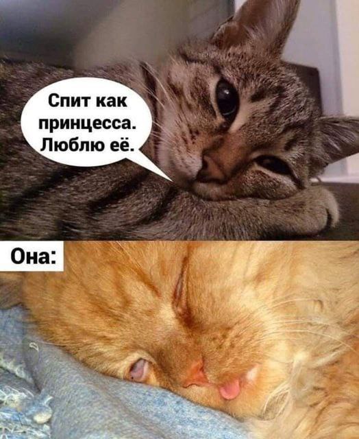 <a href="/kaverzneva1960/">Марина(4)</a>