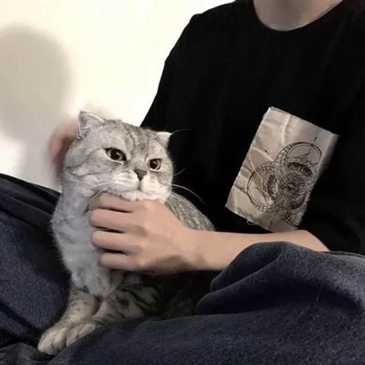 長得很像朴敘俊的那一個 tweet media