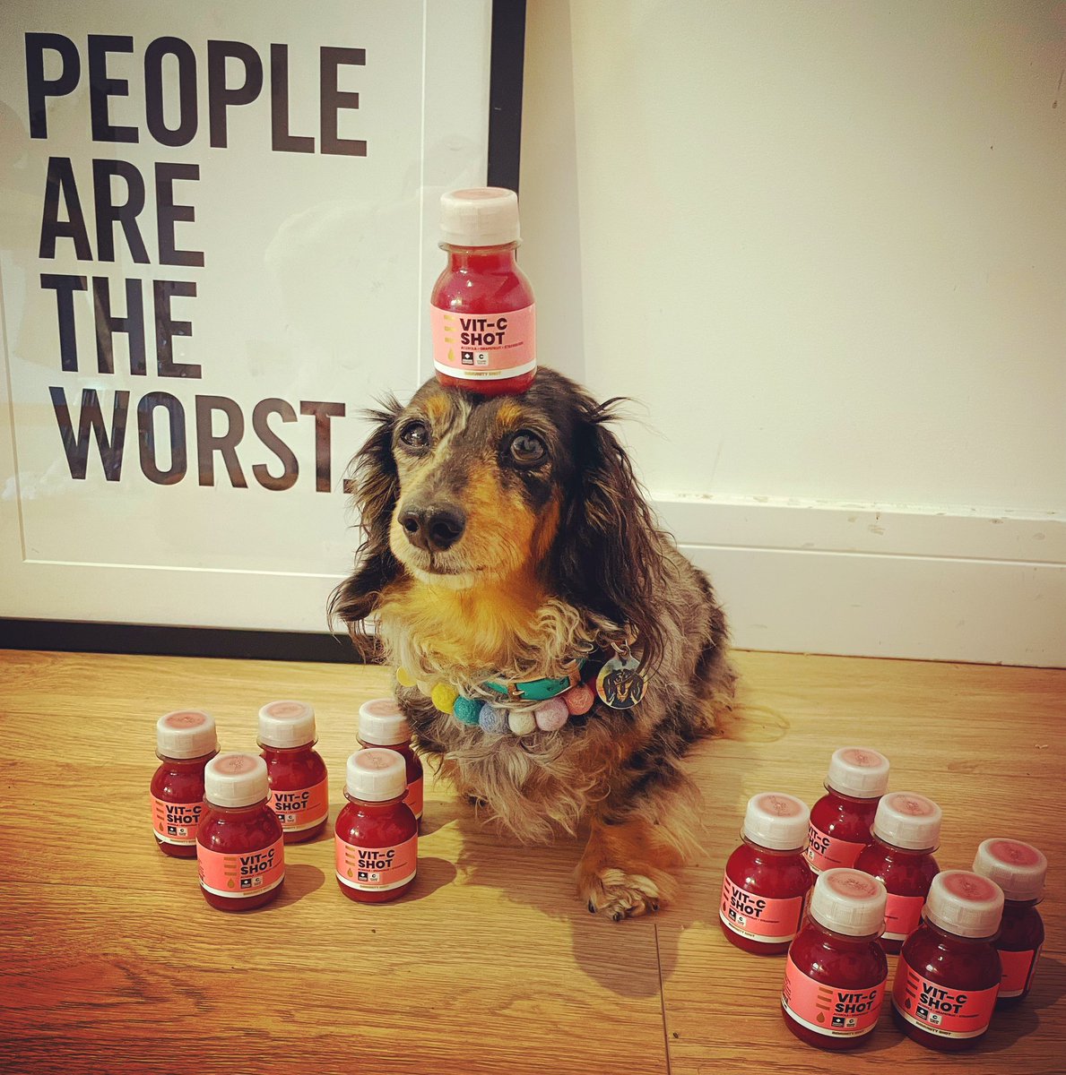 gemmyred's tweet photo. “SHOTS!”
#presshead #btox #plantbasedb
#cshotsausage #vitamincsausage #saturdaycshot
#saturdayskills #saturdaynightout #datenight #girlsnightout #justmeandb #balancingb #girlgotskillz #peoplearetheworst #stylegoals #doggystyle #sausagestyle #dachshundoftheday #ramsgate https://t.co/OaffCbGu4n