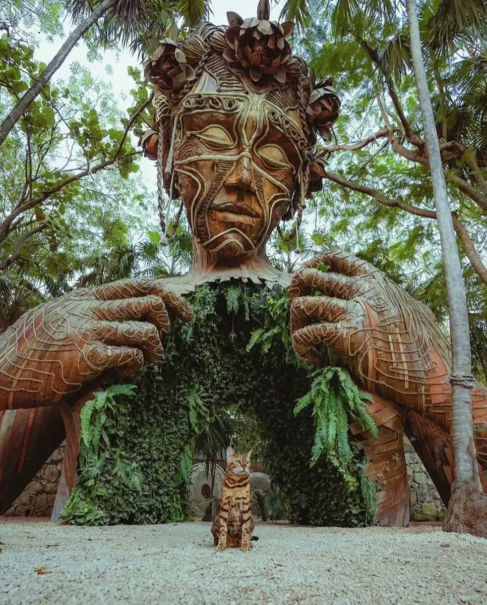 StreetArtUtopia's tweet photo. @danielpopper Wooden Sculpture In Tulum, #Mexico 🇲🇽 ❤️ #caturday Photo from Suki Cat (@ sukiicat on Instagram). This art piece by Daniel Popper - artist is called "Come in to Light". Another favorit by Daniel: https://t.co/rQIYXd6dHH https://t.co/yQCfmtkJ2p