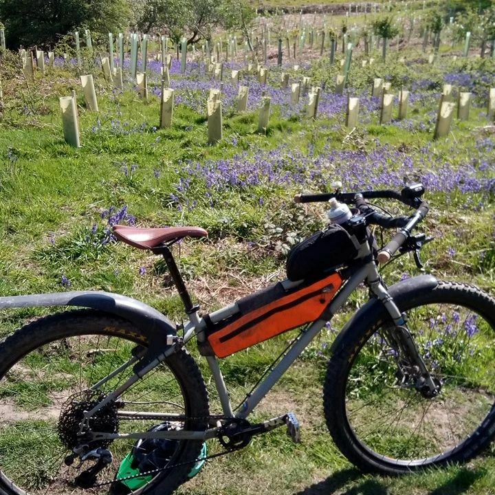 Velotastic tweet media