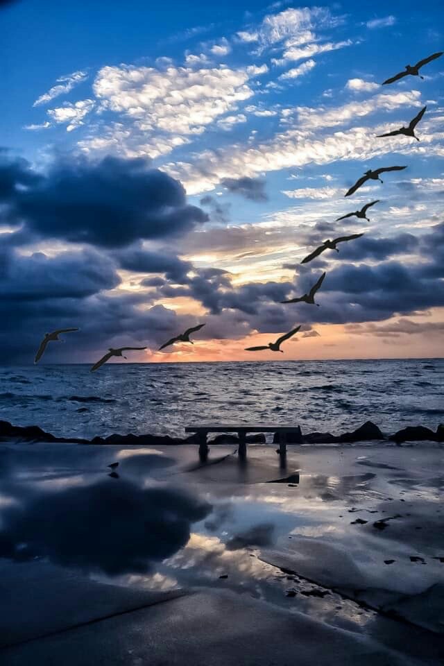 Soul_Art8's tweet image. Good evening 💙💫
#NaturePhotography #naturelovers #NatureBeauty #sunset