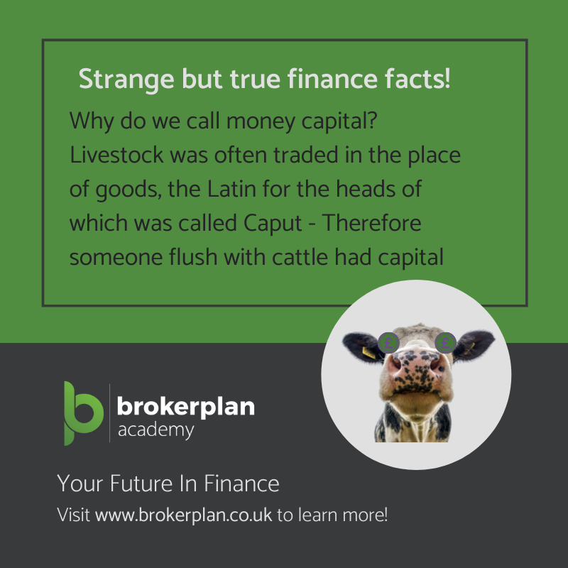 Brokerplan's tweet photo. We love a good finance fact here, especially ones about cows! 🐄

Brokerplan
Your Future In Commercial Finance
0333 405 6666

#brokerplan #broker #financetraining #commercialfinance #finance #propertydevelopment #realestatefinance #commercialrealestatefinance https://t.co/Vi4SuvhjUt