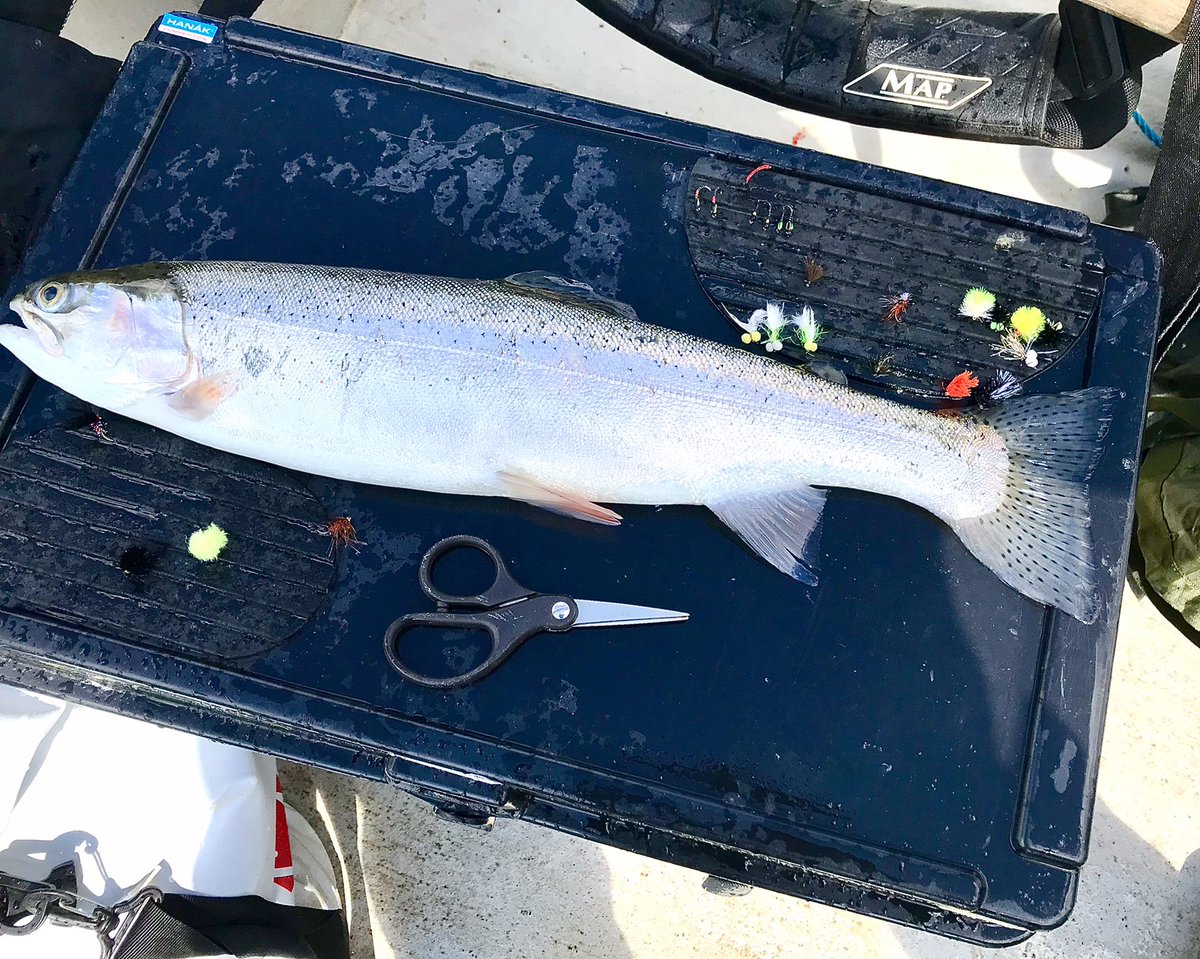 Some pearlers caught in today’s heatwave!