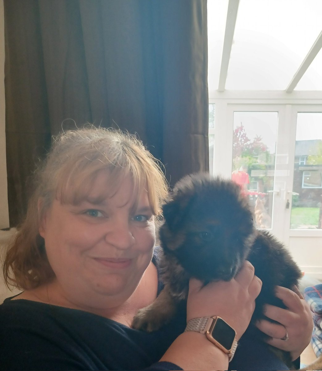 SwannTara's tweet photo. Wahoo can officially say this bundle of fluff is our new baby Odin, a king Shepard (Giant German Shepard) at 6 weeks old he is bigger then any of the dogs at home and Dade adores him already, my pic was 5/5 look how big he grew in a week!!
#Gsd #sofluffy #falleninlove https://t.co/tsjidRPVII