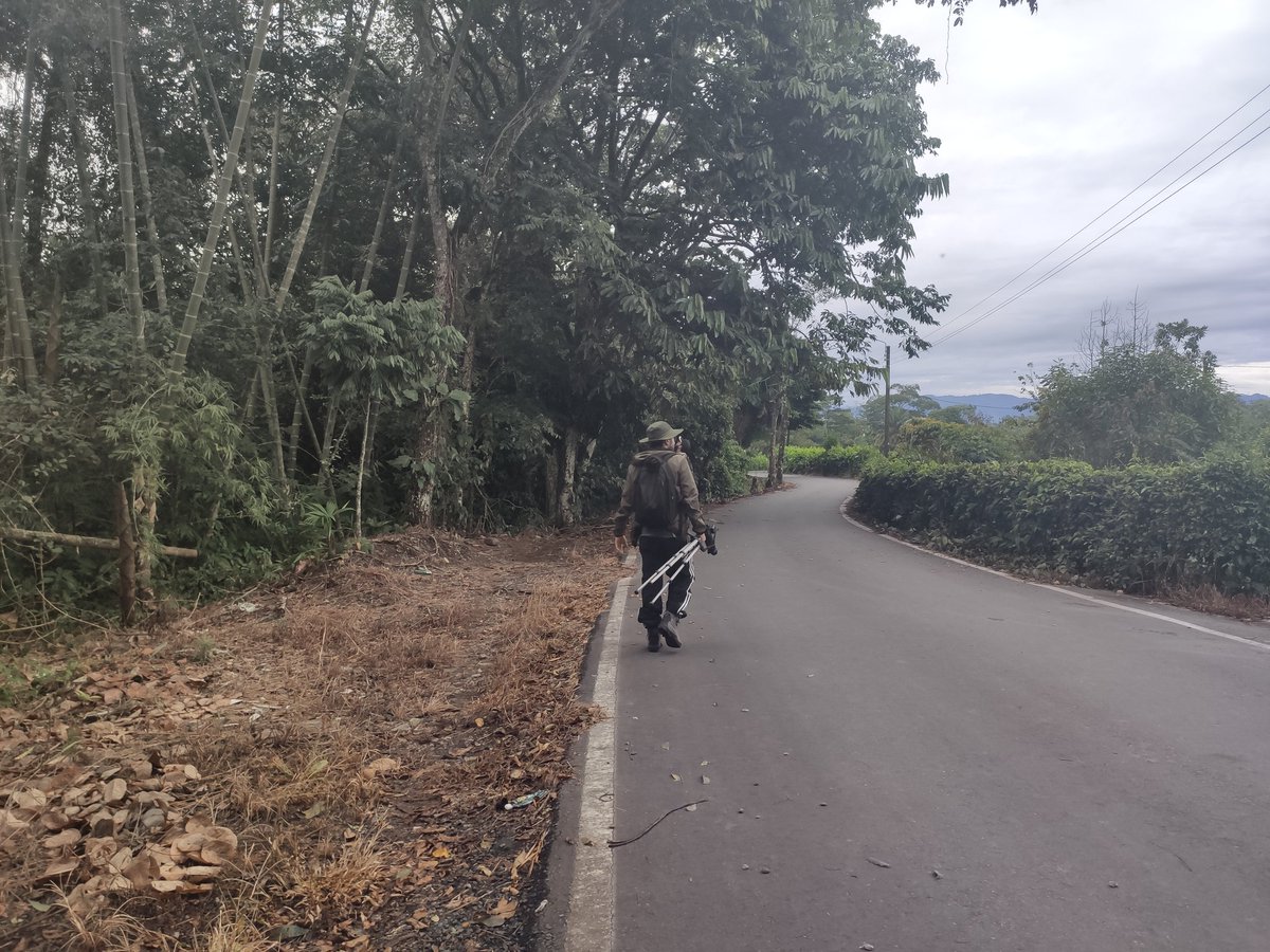 JCHV10's tweet photo. Hoy disfrutando de mi primer #GlobalBigDay, lleno de lluvia y #AvesDeColombia maravillosas.

#LasAvesNosUnen 
#GlobalBigDayColombia
#GlobalBigDay2022 

@GBDColombia https://t.co/KZx1uCEkK3