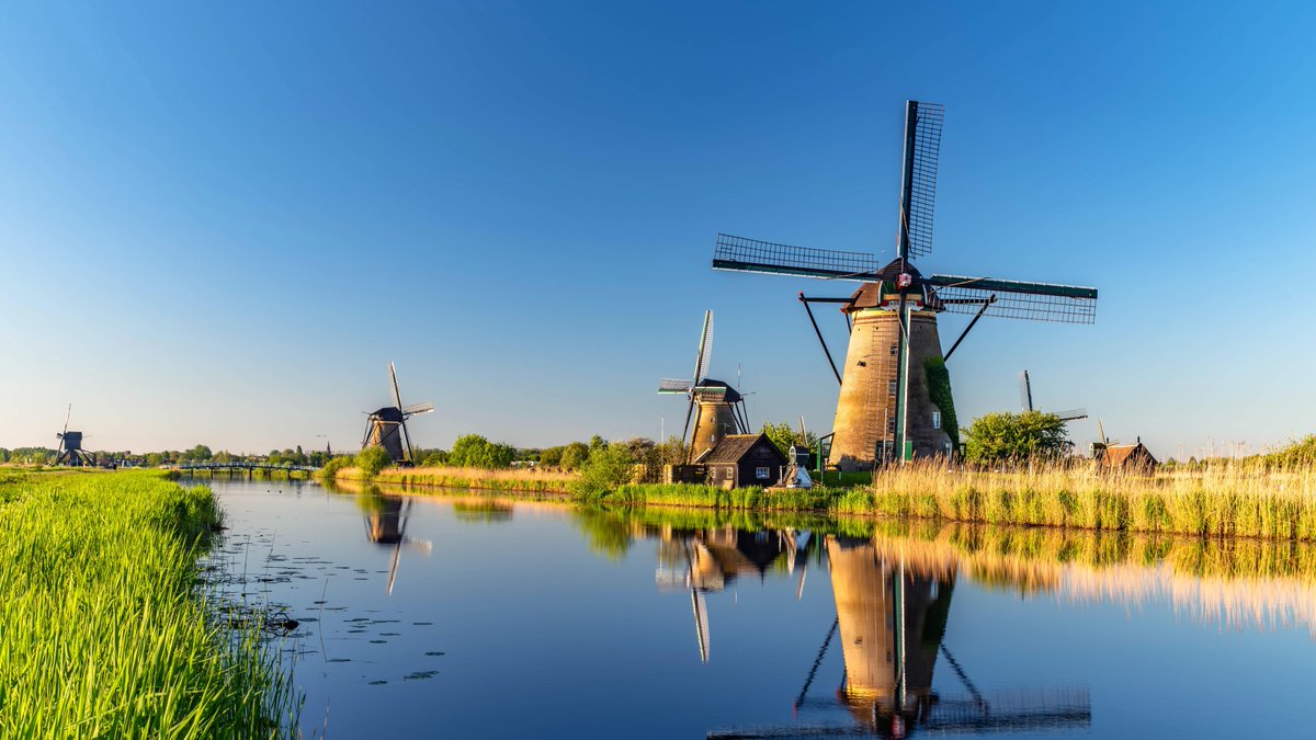 bing photo