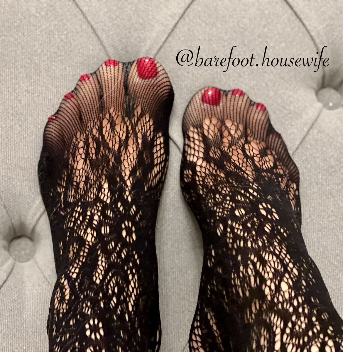 BarefootHouseWi's tweet photo. So…..barefoot or fishnets? 😜🦶🏻💋#feet #fishnets #pedicure #housewife https://t.co/8qQkU82GBk @Feetfinder https://t.co/3EKYmf20vZ