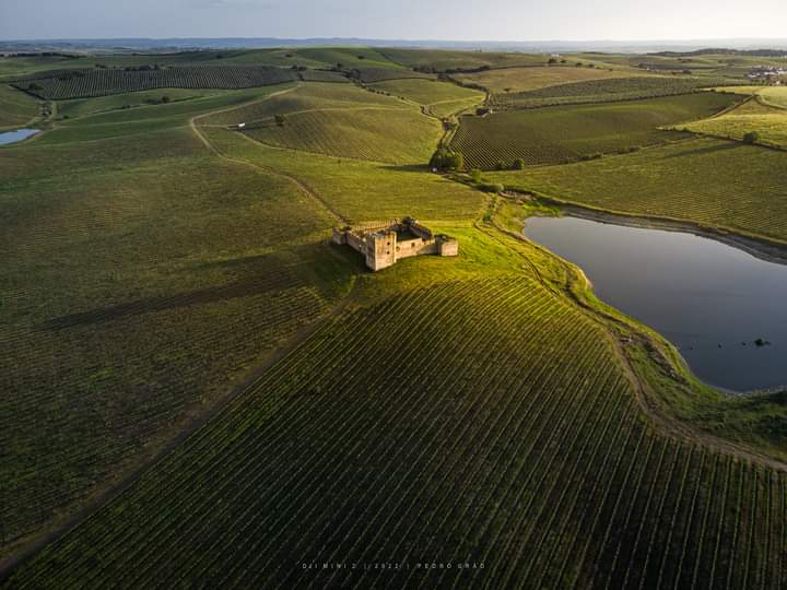 amigoscvalongo's tweet photo. #castelodevalongo #amigoscastelodevalongo #alentejo #évora #montoito #castillodevalongo #castleofvalongo #castelosdeportugal
Créditos: pedrograophotography https://t.co/l0Eum05ovJ