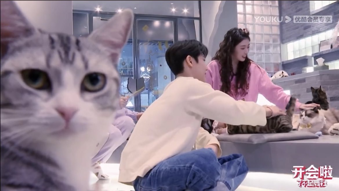 แมว"ตัวนั้น"ถ้าดูอยู่ ยัยนี่เป็นของผม