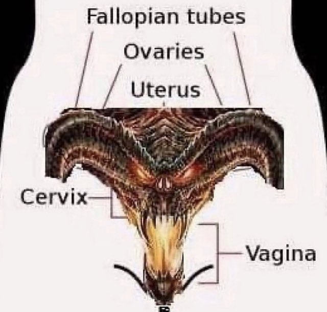 ManicCannibal's tweet image. Good morning