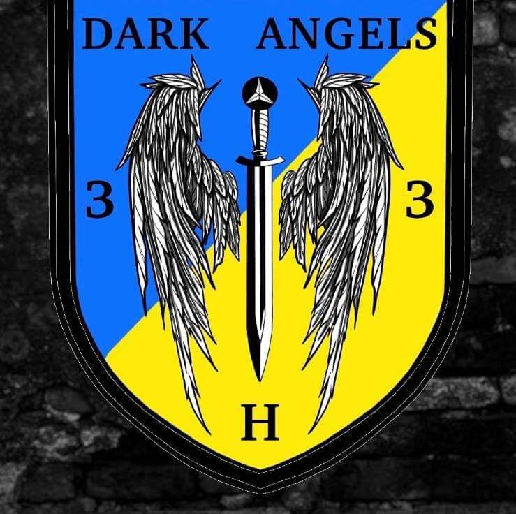 So. Two, but perhaps three, former YPG volunteers who are now in Ukraine formed a group or a unit to conduct humanitarian work and military operations, and to provide military training to Ukrainians. However, I don't who they report to. Their name: Dark Angels.