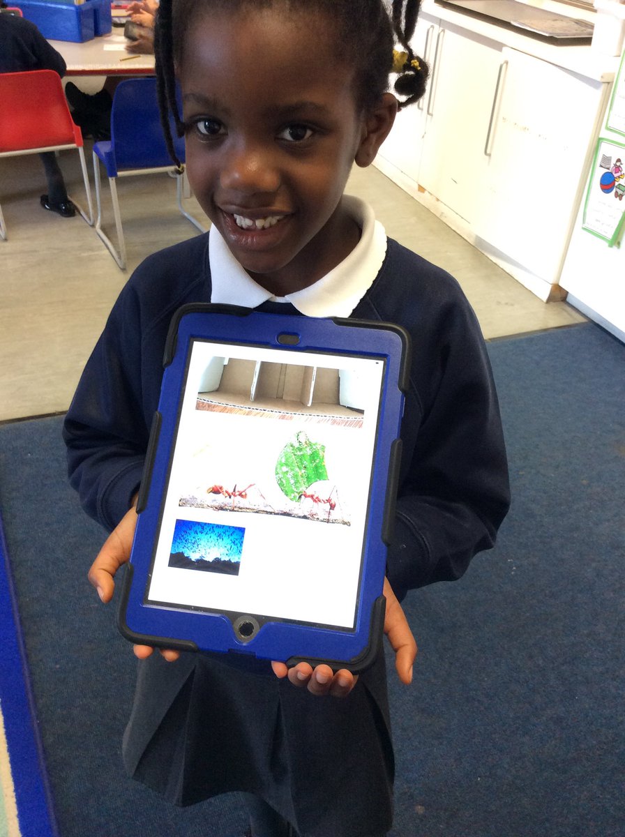 DeBeauvoirSch's tweet photo. As part of their online safety learning, #beechclass have been practising finding and selecting appropriate pictures using safe searching. #computing #onlinesafety #year1 https://t.co/M7CUYvOl4E