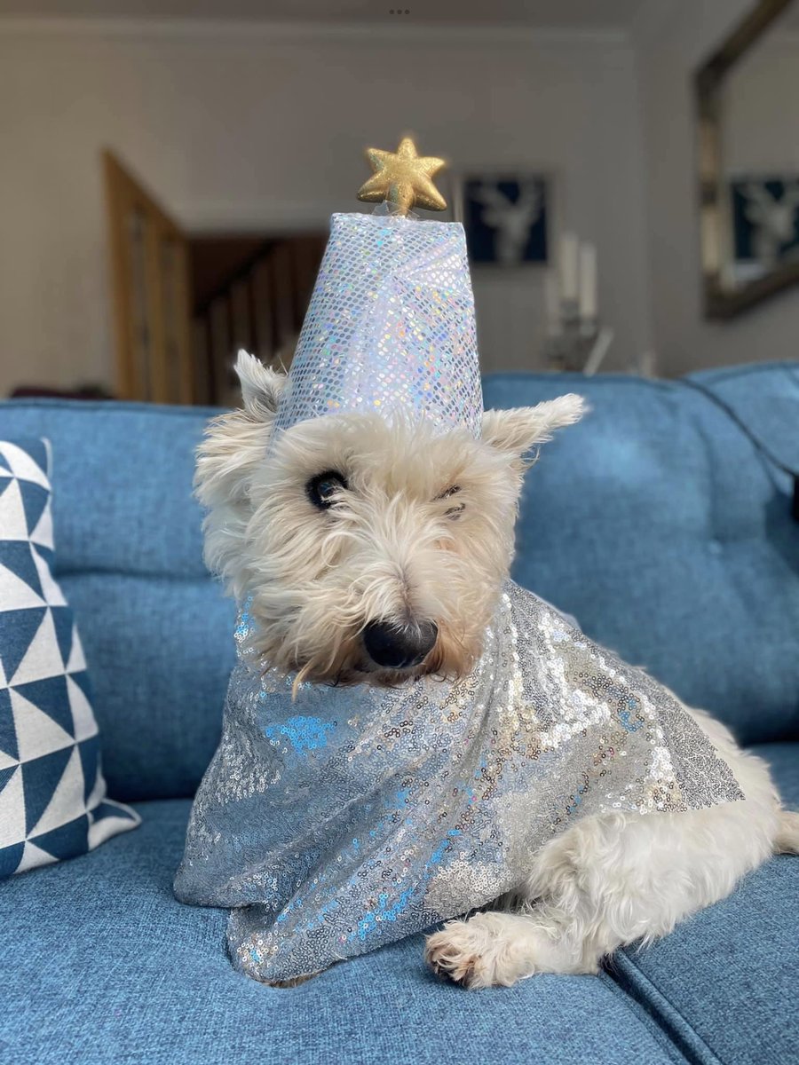 Fergus is getting in the mood for #Eurovision