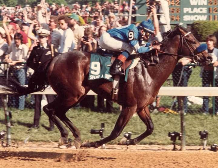 HORSERACING1002's tweet photo. SPEND A BUCK (BUCKAROO) #SpendaBuck. Multiple G1 stakes winner 1985 @KentuckyDerby winner. Horse of the year and chsmpion 3 year old colt. Sired 37 sw. Stood at @LanesEndFarms ,McDermott Ranch, Red River Farm. And Haras  Bage do Sul. (Brazil). https://t.co/nlnNVHJyQx