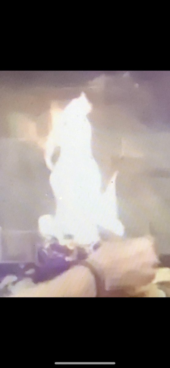 Player1Rising's tweet image. Removes Obstacles Seen and Unseen... Lord #Ganesha the #Archetype, #DevineBeing, #Elohim (Plural I discovered for #GODS) also KEEPER OF THE PATH TO ENLIGHTENMENT AND TO THE GATES OF HEAVEN
Check out the 3D printed Lord Ganesha Tantra Pendant shpws.me/StzI via @shapeways