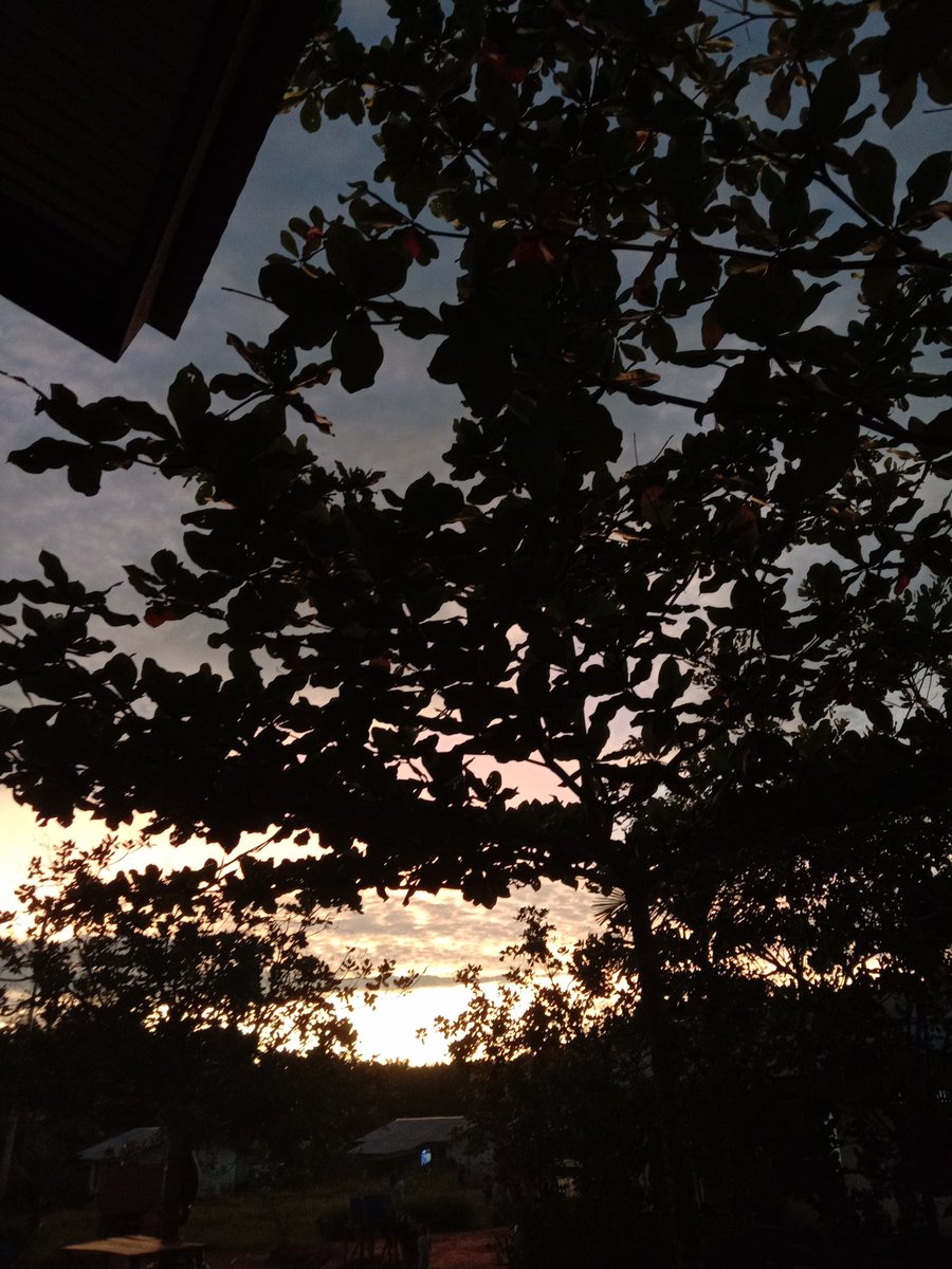 Marcellin06's tweet photo. So beautifull 
#sunsetphotography https://t.co/alCmmRX7u7