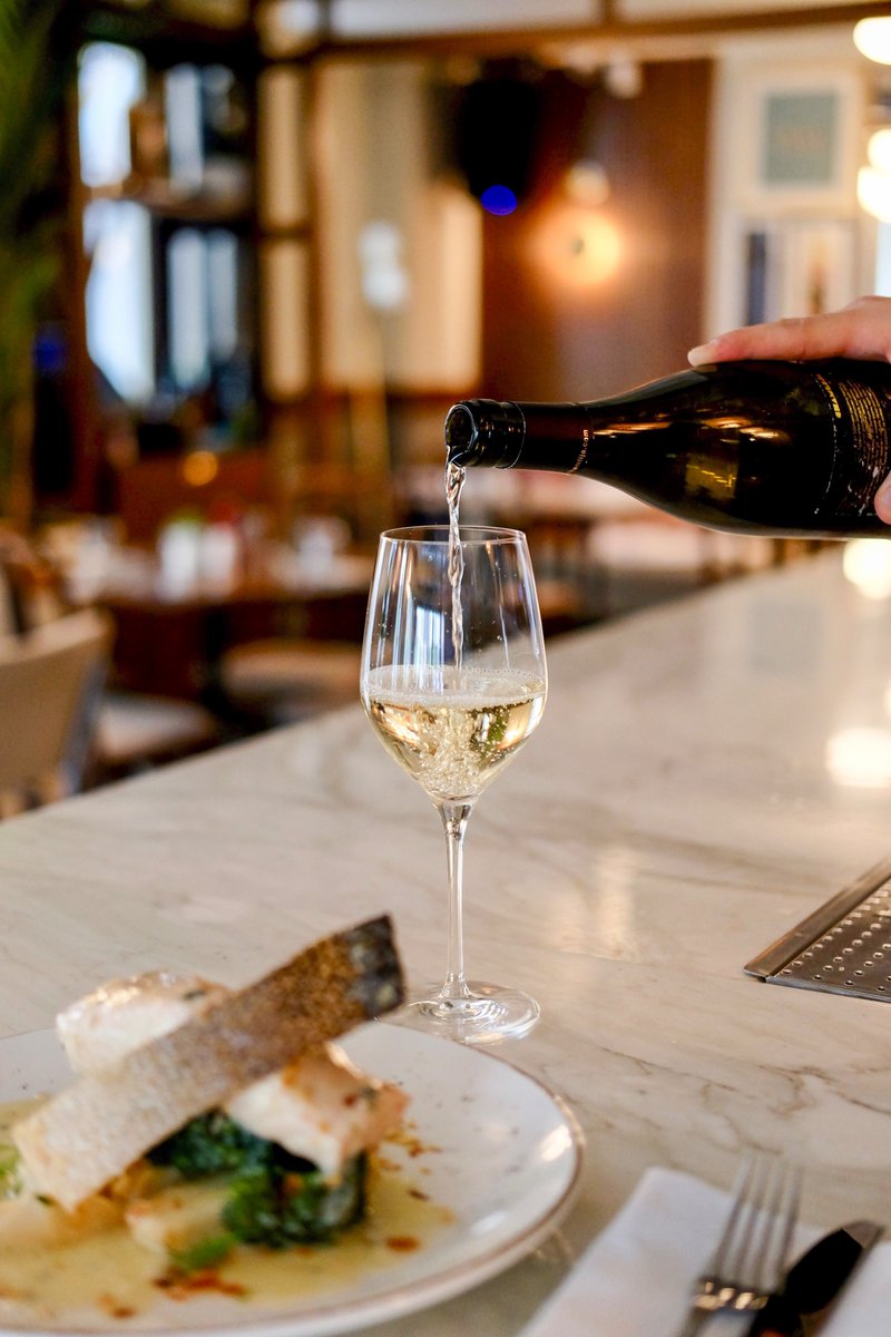 SevenEightWine's tweet photo. You look like I need wine.... 🤣🤣
.
.
.
#wineonweekend #wineloversclub #winelove #foodwine #winewithfood #deliciouswine https://t.co/N3KojqOlyk